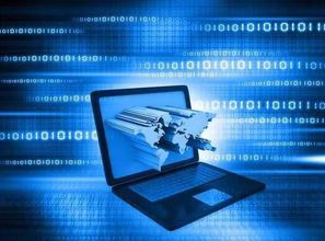 窺國(guó)內(nèi)IT生態(tài)體系 一花一世界，互聯(lián)網(wǎng)信息服務(wù)的無(wú)限可能